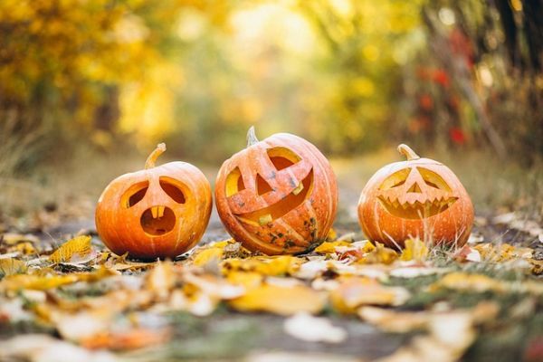 Halloween, Reformationstag und Allerheiligen - Ursprung und Bedeutung